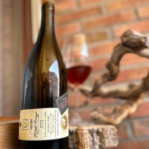 Pinot Draga - Kmetija Štekar - Janko Štekar 