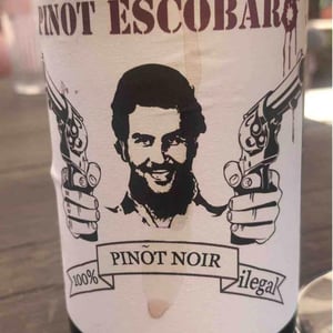 Pinot Escobar - Sons of Wine - Farid Yahimi 