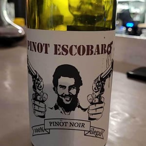 Pinot Escobar - Sons of Wine - Farid Yahimi 