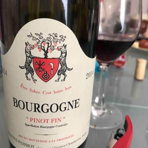 Pinot Fin - Géantet-Pansiot - Vincent Géantet 