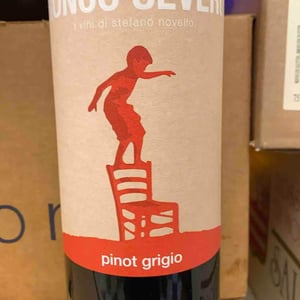 Pinot Grigio - Ronco Severo - Stefano Novello 