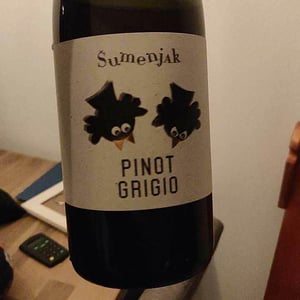 Pinot Grigio - Kmetija Sumenjak - srecko-sumenjak -2019