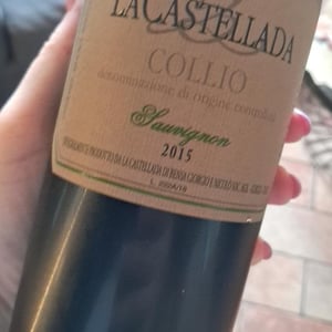Pinot Grigio - La Castellada - giorgio-bensa