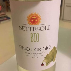 PINOT GRIGIO BIO - SETTESOLI - settesoli