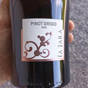 Pinot Grigio rosé - Azienda Agricola La Jara - paolo-massimo-bruno-marion
