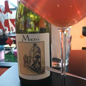 Pinot Grigio - Azienda Agricola Macea - Cipriano & Antonio Barsanti 