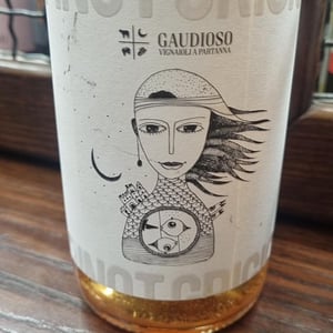Pinot Grigio - Azienda Agricola Gaudioso - Antonio & Rosa Gaudioso 