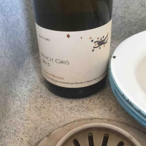 Pinot gris - Domaine Julien Meyer - Patrick Meyer 