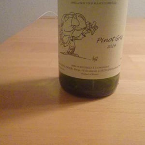 Jean Ginglinger & Fils - Jean-Francois Ginglinger - Pinot Gris