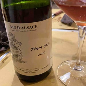 Pinot Gris - Jean Ginglinger & Fils - Jean-Francois Ginglinger 