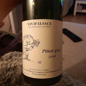 Jean Ginglinger & Fils - Jean-Francois Ginglinger - Pinot Gris
