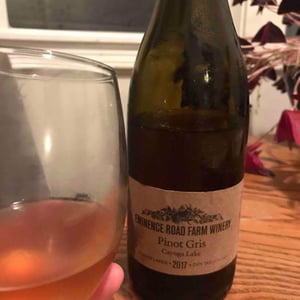 Pinot Gris Cayuga Lake - Eminence Road Farm Winery - Andrew Scott & Jennifer Clark 