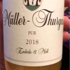 Grauburgunder - Enderle & Moll - Florian Moll & Max Lecat 