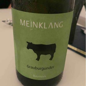 Grauburgunder - Meinklang - Weingut Michlits - angela-werner-michlits