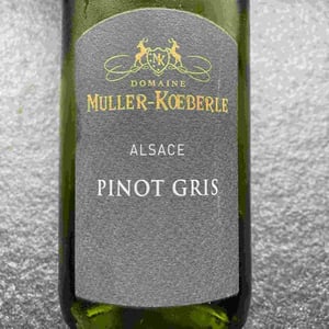 Pinot Gris - Domaine Muller-Koeberle - David Koeberle 