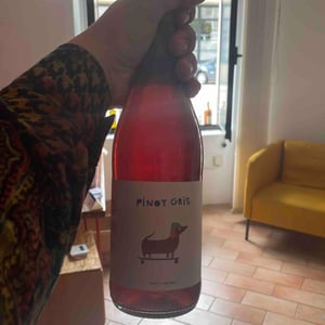 Pinot Gris - Matic Wines - matija-zerjav -2021