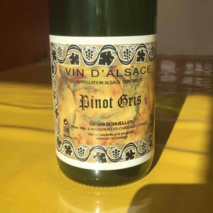Pinot Gris 2017