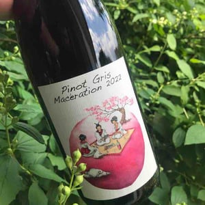 Pinot Gris Macération - Domaine des Petites Planètes - Guillaume Bodin -2022