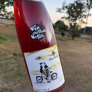 Pinot Gris Nature - Domaine Yves Amberg - yves-amberg -2020