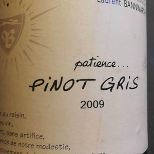 Pinot Gris Patience 2009