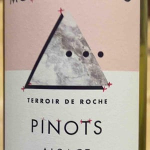 PinotS - Terroir de Roche - Maison Moritz Prado - Ghislain Moritz & Angela Prado -2022