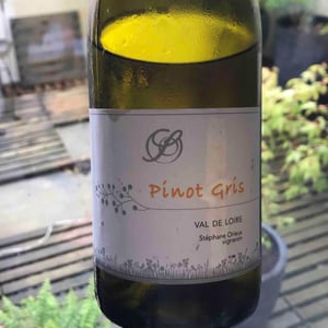Pinot Gris - Val De Loire - Domaine De La Bregeonnete - stephane-orieux