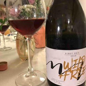 Pinot Gris Wild+Free - Weinbau Michael Wenzel - Michael Wenzel 