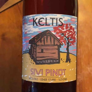 Pinot Gris - Keltis - Miha Kelhar 
