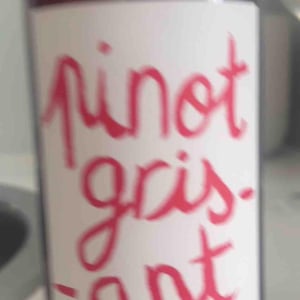 Pinot Grisant - Jeux de Vins - julien-albertus-pa -2021