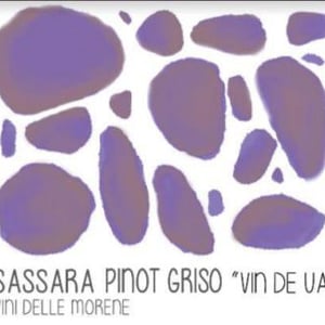 Pinot Griso - Vini Sassara - Alessia & Stefano Bertaiola -2022