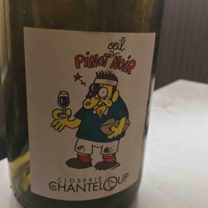 Pinot Œil Noir - Closerie De Chanteloup - vincent-frederic-willy