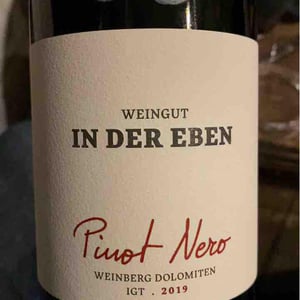 Pinot Nero - Weingut In Der Eben - Urban Plattner -2019