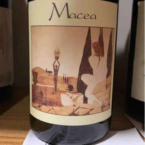 Pinot Nero - Azienda Agricola Macea - cipriano-antonio-barsanti
