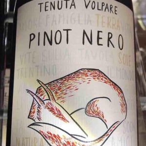 Pinot nero - Tenuta Volpare - Tenuta Volpare -2022