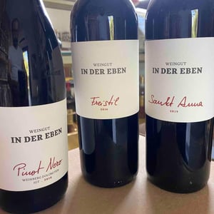 Pinot Nero - Weingut In Der Eben - urban-plattner -2019
