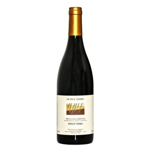 Pinot Nero - Le Due Terre - silvana-forte-flavio-e-cora-basilicata