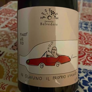 Ad ognuno il proprio viaggio - Tenuta Belvedere - Gianluca Cabrini 