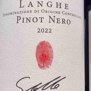 Pinot Nero - Gian Luca Colombo - gian-luca-colombo