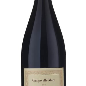 Pinot Nero Campo alle More 1,5L - Az. Agricola Gini Sandro e Claudio - gini-sandro-claudio -2009