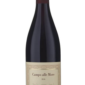 Pinot Nero Campo alle More - Az. Agricola Gini Sandro e Claudio - Gini Sandro & Claudio -2013