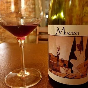 Pinot Nero - Azienda Agricola Macea - Cipriano & Antonio Barsanti 