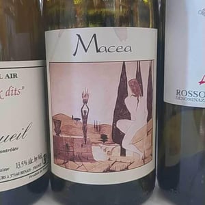 Pinot Nero - Azienda Agricola Macea - cipriano-antonio-barsanti