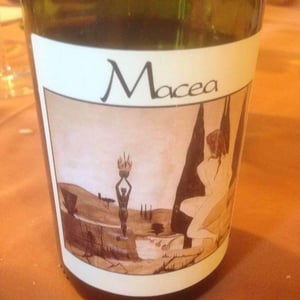 Pinot Nero - Azienda Agricola Macea - Cipriano & Antonio Barsanti 