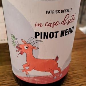 In Caso di Sete - Ansitz Dornach - Patrick & Karoline Uccelli -2022