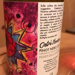 Pinot Nero - Castel Noarna - marco-zani