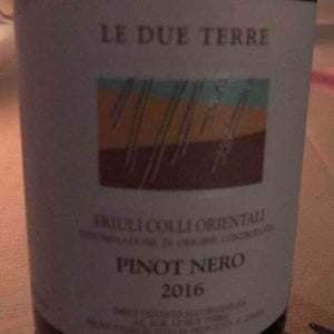 Pinot Nero - Le Due Terre - Silvana Forte, Flavio e Cora Basilicata 