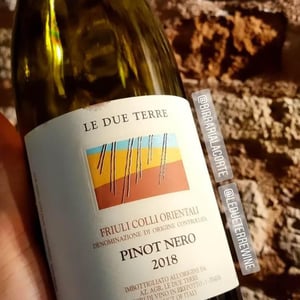 Pinot Nero - Le Due Terre - silvana-forte-flavio-e-cora-basilicata