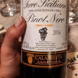 Pinot Nero - Azienda Vinicola Calabretta - Massimiliano Calabretta -2019