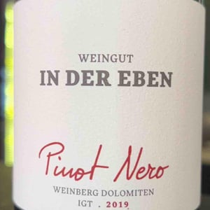 Pinot Nero - Weingut In Der Eben - Urban Plattner -2019
