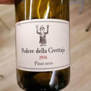 Pinot Nero - Podere della Civettaja - Vincenzo Tommasi, Lucia Stefani & Alessio Puccini 